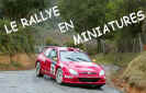 logo_rally_mini.jpg (40371 octets)